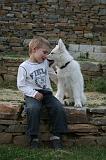 ENFANT ET CHIEN 456